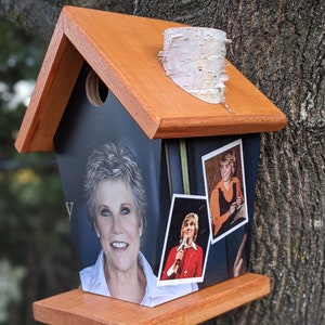 Anne Murray Birdhouse