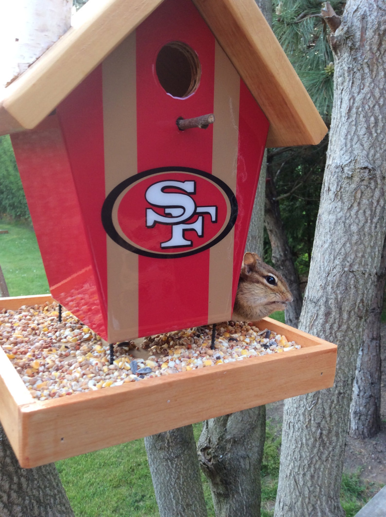 San Francisco 49ers Bird Feeder Etsy Canada