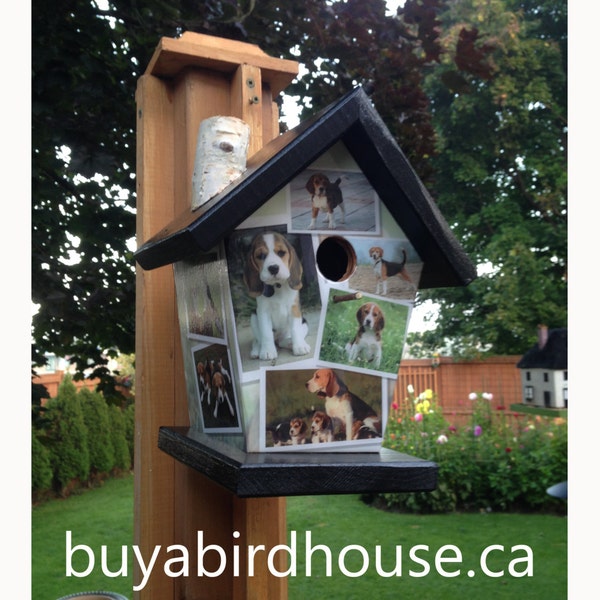 Beagle Birdhouse Etsy