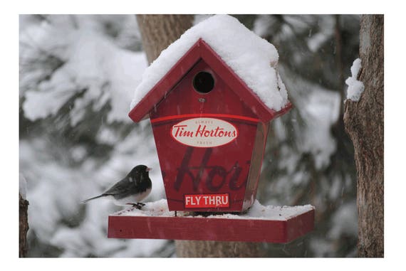 Tim Hortons Fly Thru Etsy