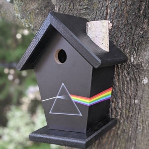 Pink Floyd Birdhouse