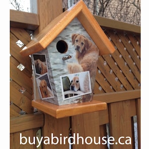 Custom Birdhouse