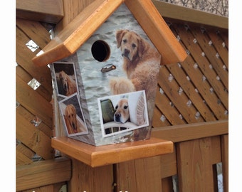 Custom Birdhouse