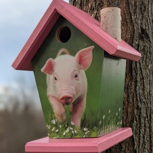 Baby Pig Birdhouse