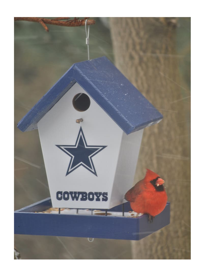 Dallas Cowboys Bird Feeder Etsy Canada
