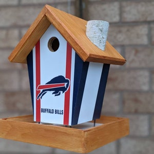 Personalized Sports Team (Stained)Bird Feeder