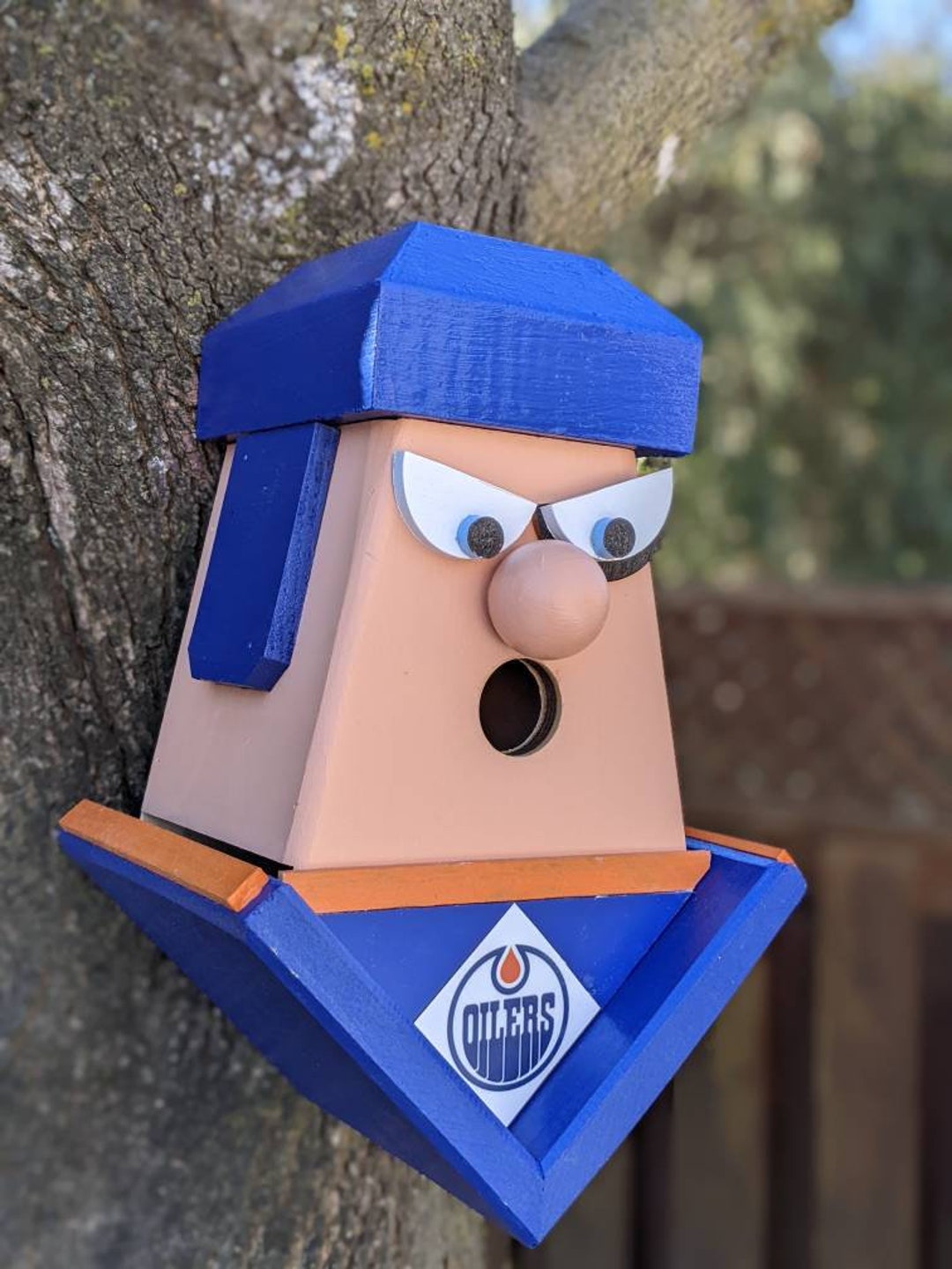 Edmonton Oilers Birdhouse Etsy