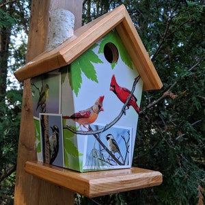 Cabane pour oiseaux de cardinaux et autres oiseaux de l'Ontario
