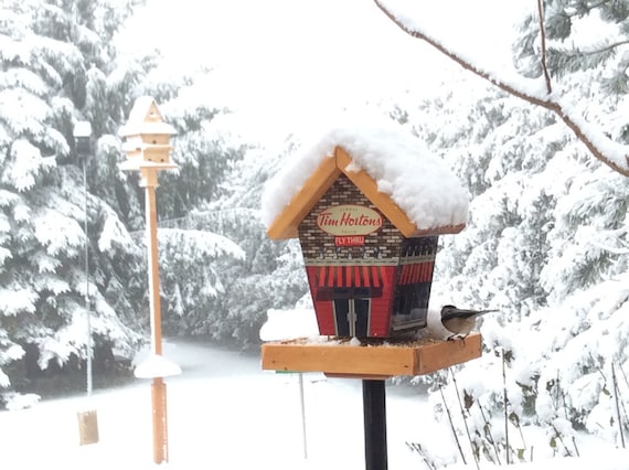 Tim Hortons Fly Thru Bird Feeder Etsy