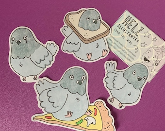 Pigeon sticker pack