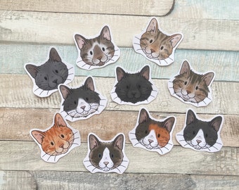 Cat Faces Stickers | Pack of 10 Cat Stickers |