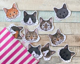 Cat Faces Stickers | Pack of 10 Cat Stickers |