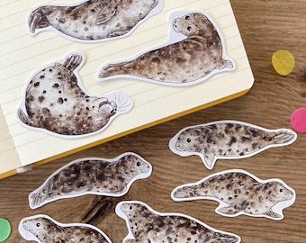 May include: A set of seven grey and white seal stickers. The seals are in various poses, including swimming, lying down, and looking up. The stickers are on a white notebook with lined paper.
