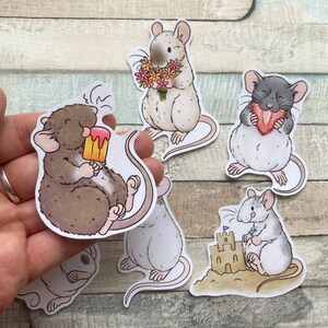 Summer Rat Stickers Pack of 6 Rat Stickers Cute Playful Rat glossy stickers image 2