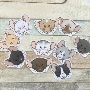 Ratty Faces Sticker Pack | pack of 10 cute rat stickers | fancy rat stationery gift for rat owners