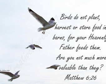 Seagull Ariel Dance1, Matthew 6 verse 26, 5 X 7 Instant Download