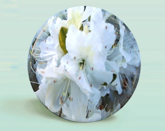 White Azalea Photo Button Magnet  - OOAK Original - 2.25 Inch Round