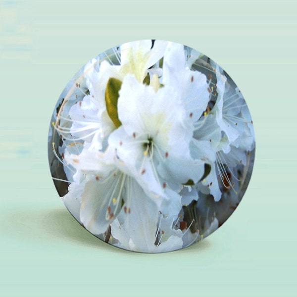 White Azalea Photo Button Magnet  - OOAK Original - 2.25 Inch Round