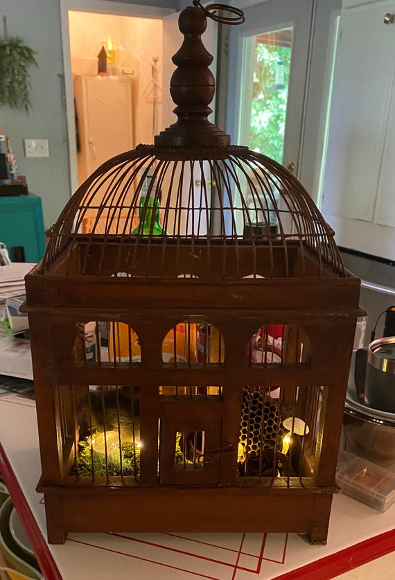 Real Duckling in Light up Bird Cage Etsy