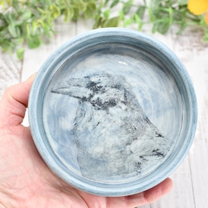 May include: A round, light blue ceramic dish featuring a detailed illustration of a raven's head. The raven is depicted in shades of gray and black against a light blue background. The dish is held in a hand, with flowers in the background.