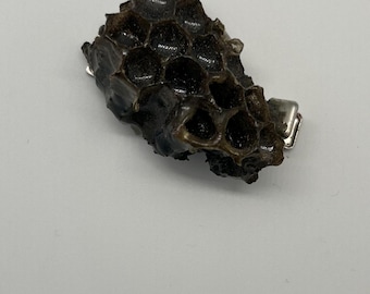 Real Wasp Nest Hairclip