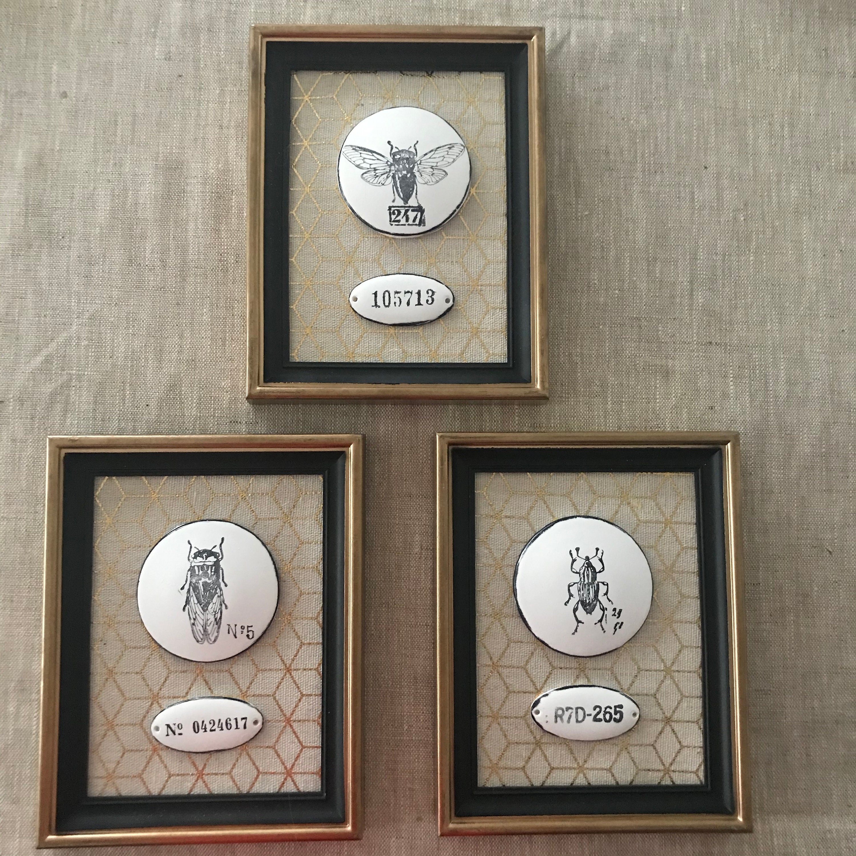 3 Cadres Noir et Or Curiosité Petits Bêtes