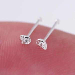 Peut inclure: Deux petits clous de nez argentés. Chaque clou présente un motif de crâne. Les clous sont sur une tige argentée avec une petite boule à l'extrémité. Les clous sont présentés sur un fond flou.