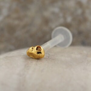 Könnte beinhalten: Ein goldfarbener Lippenpiercing-Stecker in Schädelform mit einem transparenten Stab. Der Schädel hat sichtbare Augenhöhlen und eine strukturierte Oberfläche. Der Stecker ist für Körpermodifikationen konzipiert.
