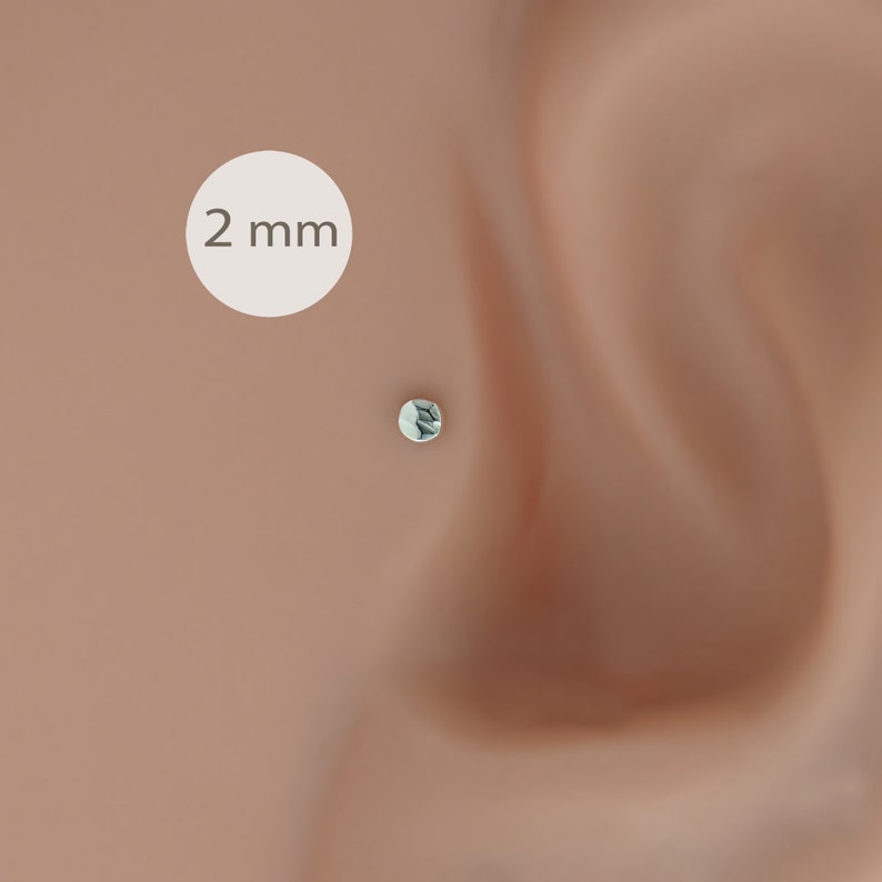 2 stuks flexibele bioplastic Labret Monroe Lip Stud Tragus kraakbeen oorbel piercing 16g afbeelding 5