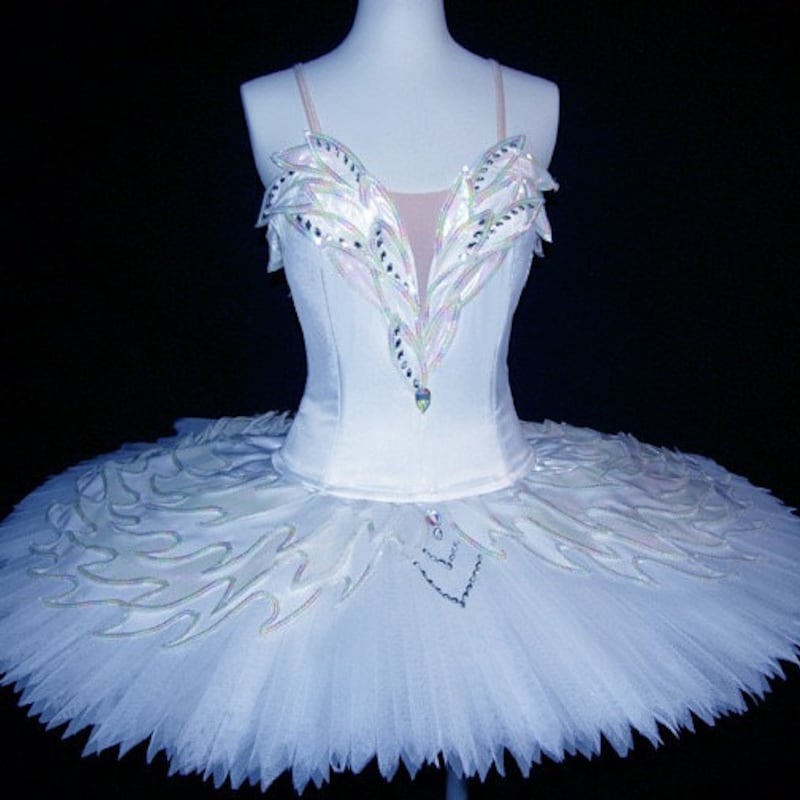 Swan Lake Costume - Etsy