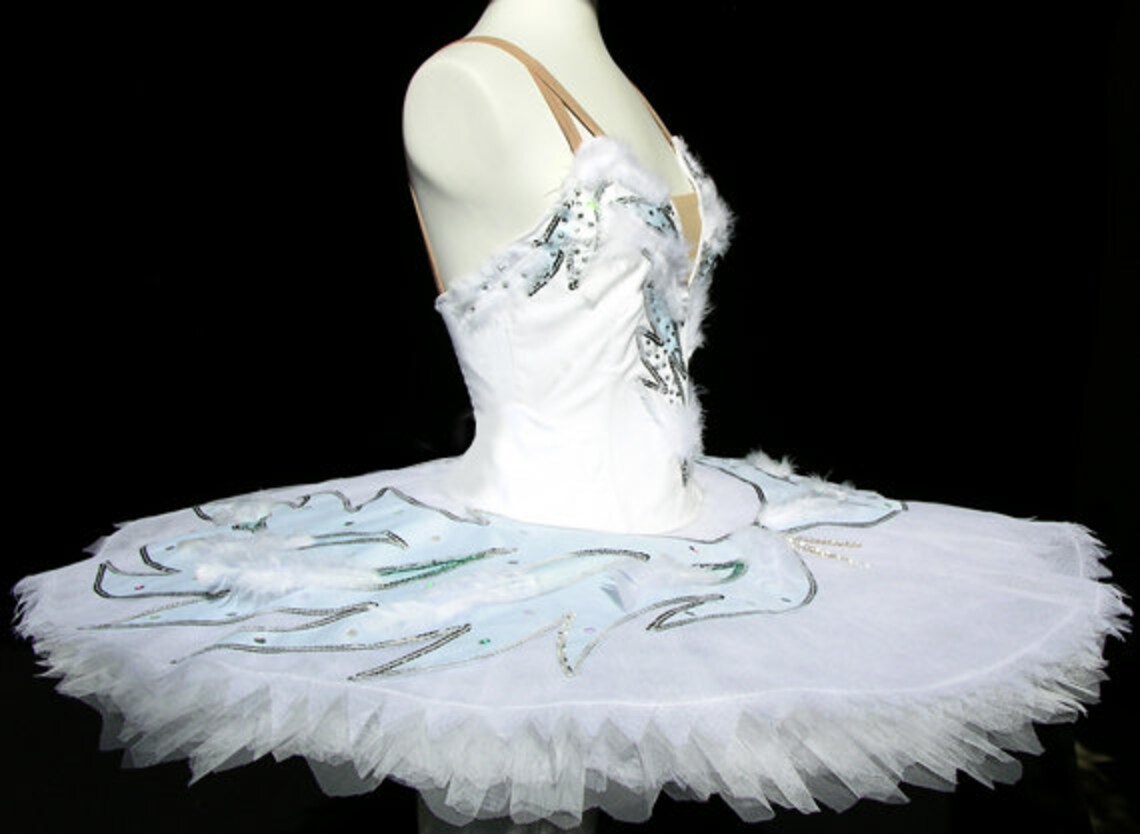 Ballet Tutu - Beautiful Classic White Swan Lake Stage Ballet Tutu - Etsy