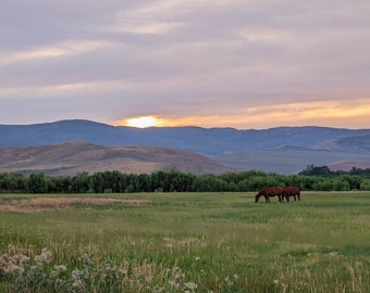 Bear Lake Horses-  Landscape Utah Photography print