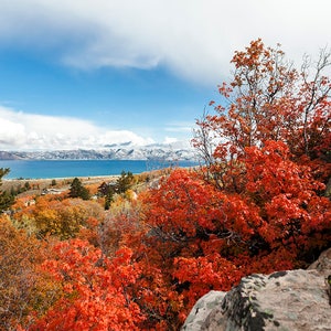 Brilliant Bear Lake Fall-  Landscape Utah Photography Print