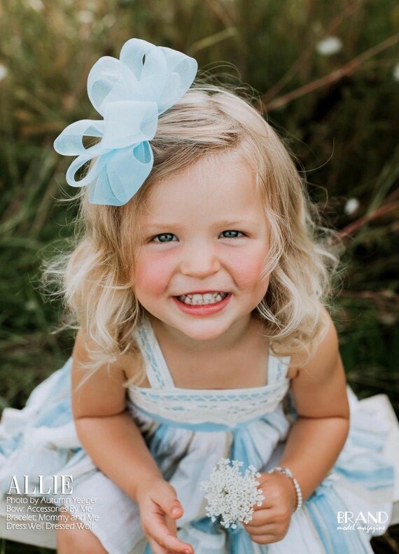 Light Blue Hair Bow Blue Organza Clip Powder Blue Organza - Etsy Australia Light Blue Hair Bow Blue Organza Clip Powder Blue Organza - Etsy Australia