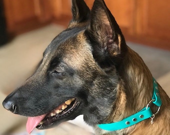 5/8" Wide Tag Biothane Waterproof Dog Collar, Add Your Dog's Name, House Collar, Custom Colors, Metals & Sizes