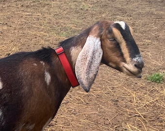 Adjustable Quick Side Release Goat Collar, 3/4" Wide Biothane Waterproof Goat Collar, Custom Colors & Sizes