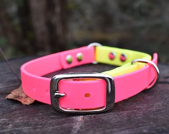 Small Dog Collars