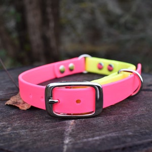 5/8" Wide Deluxe Adjustable Buckle Biothane Waterproof Dog Collar, Add Your Dog's Name, Custom Colors, Metals & Sizes