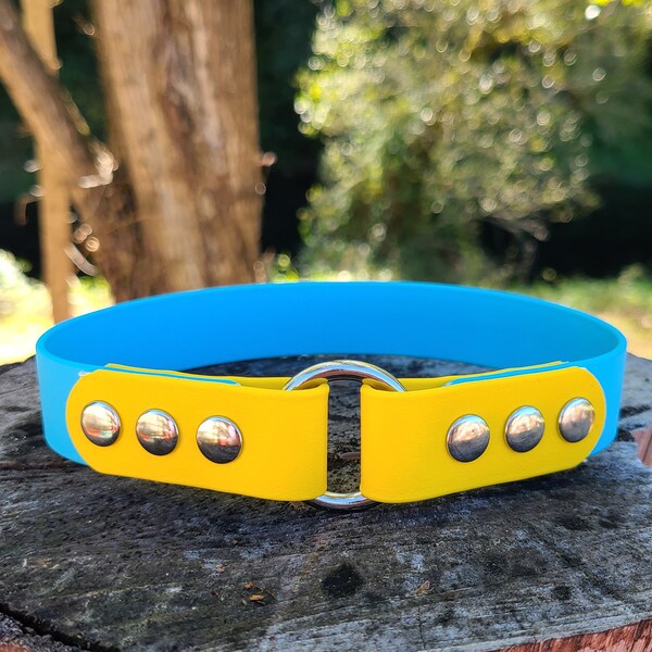 Large Dog House Collar Etsy