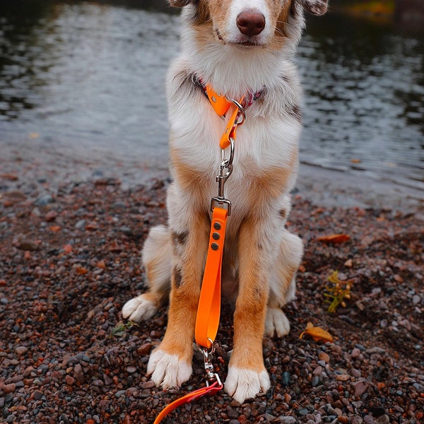 Leash Handle, 3/4" Wide Biothane Waterproof Traffic Handle, 11" to 14" Loop, Traffic Leash, Traffic Handle, Custom Color & Snaps