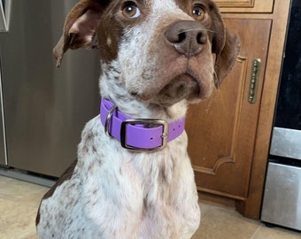 Adjustable Buckle Dog Collar, 1&quot; Wide Biothane Waterproof Buckle Collar, Custom Colors, Metals & Sizes
