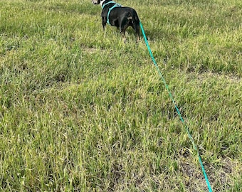 1/2" Drag Line with O-Ring, 1 to 33 ft, Biothane Outdoor Waterproof Training Lead, Custom Colors and Clips - Brass, Stainless and more!