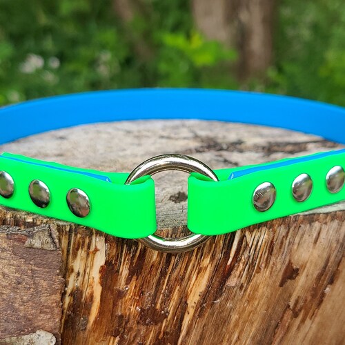 2 Color Tag Dog Collar 3/4 Wide Biothane Waterproof Etsy