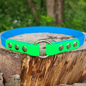 2 Color Tag Dog Collar, 5/8" Wide Biothane Waterproof House Collar, Custom Colors, Sizes and Metals