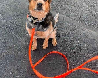 Standard Dog Leash, 3/4" Wide Biothane Waterproof Dog Leash, Custom Colors and Snaps - Steel, Brass, Nickel, Stainless and more!
