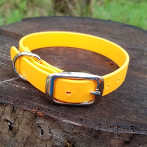 Adjustable Buckle Dog Collar, 3/4" Wide Biothane Waterproof Buckle Dog Color, Custom Colors & Sizes