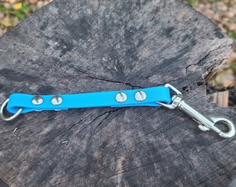 May include: A bright blue dog leash with silver metal hardware and four silver rivets. The leash has a metal loop on one end and a metal clip on the other end.