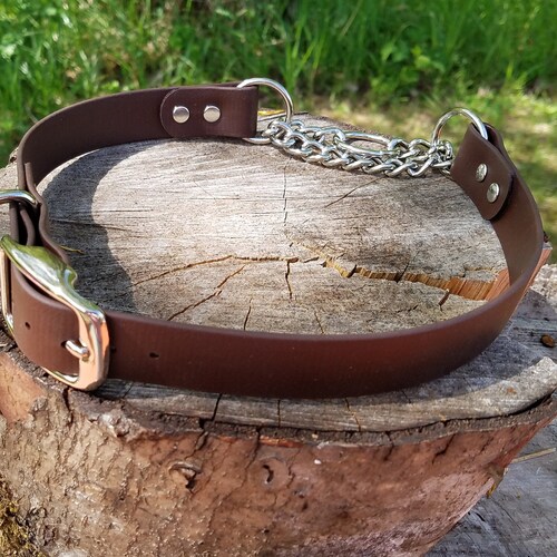 Martingale Adjustable Biothane Collar W/ Buckle Etsy