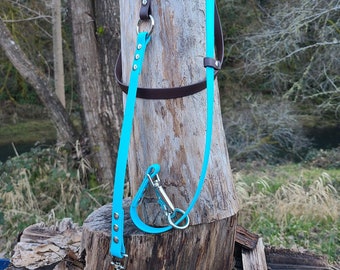 5/8" Deluxe Adjustable Clip and Slip Dog Leash, Biothane Outdoor Waterproof Hands Free Leash, Custom Colors, Clips Brass, Stainless & More!