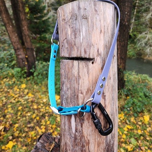 May include: A blue and purple dog collar with a black carabiner clip attached to a wooden post.